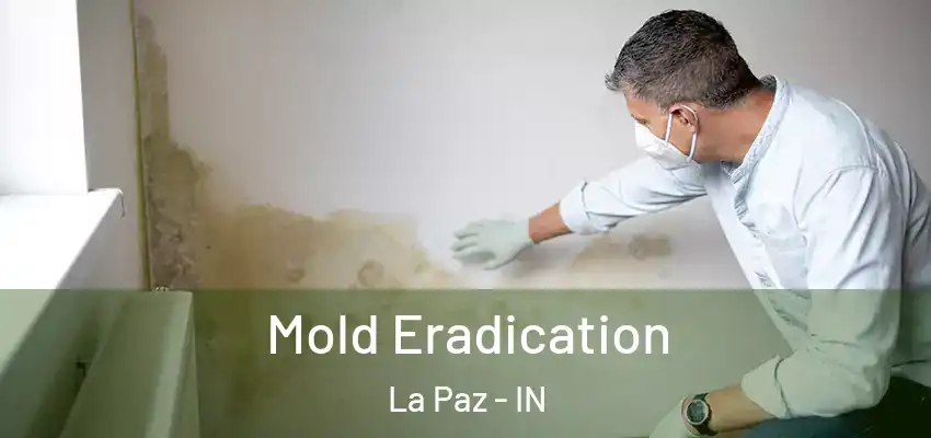  Mold Eradication La Paz - IN