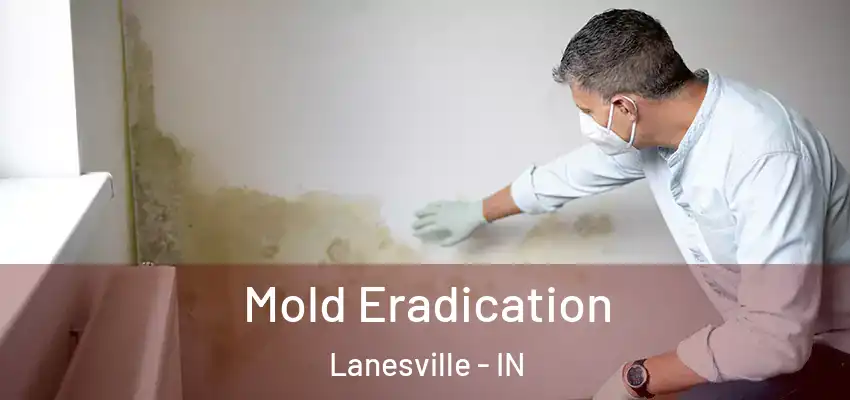  Mold Eradication Lanesville - IN