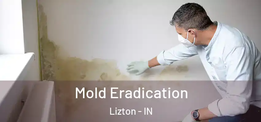  Mold Eradication Lizton - IN