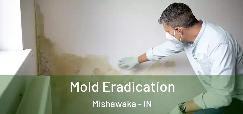  Mold Eradication Mishawaka - IN