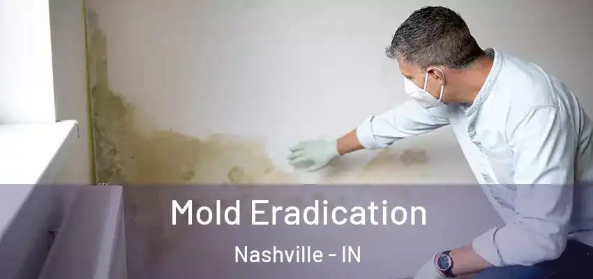  Mold Eradication Nashville - IN