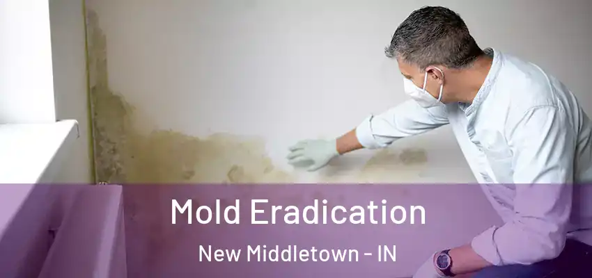  Mold Eradication New Middletown - IN