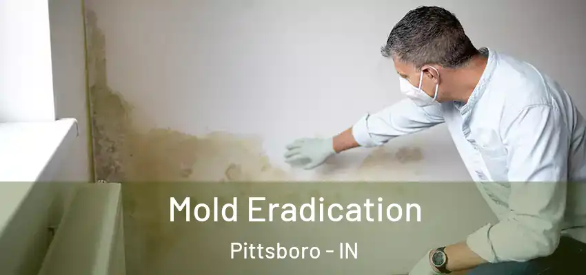  Mold Eradication Pittsboro - IN