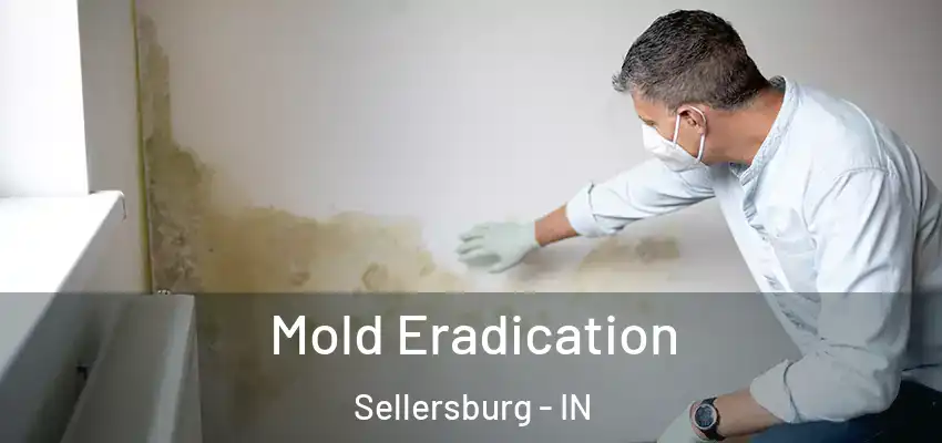 Mold Eradication Sellersburg - IN