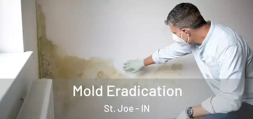  Mold Eradication St. Joe - IN
