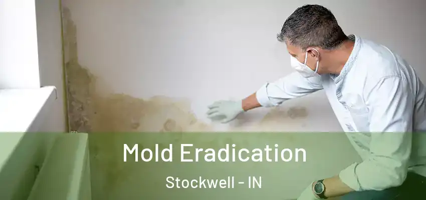  Mold Eradication Stockwell - IN