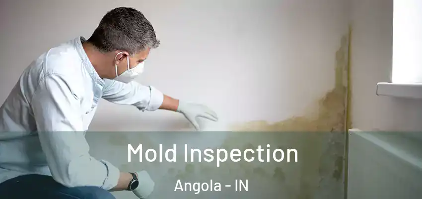  Mold Inspection Angola - IN