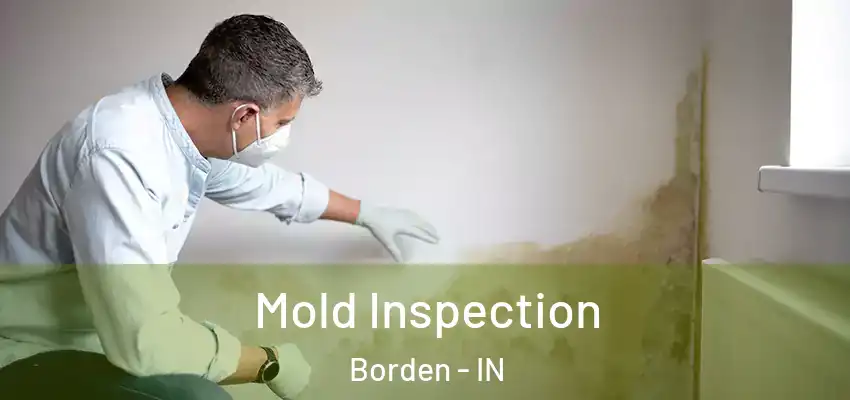  Mold Inspection Borden - IN
