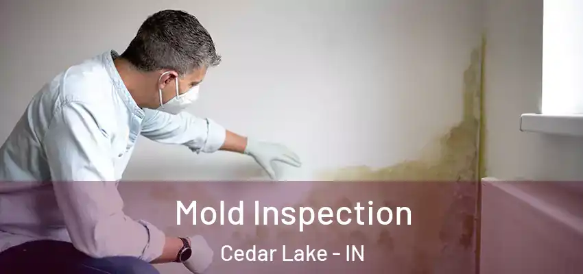 Mold Inspection Cedar Lake - IN