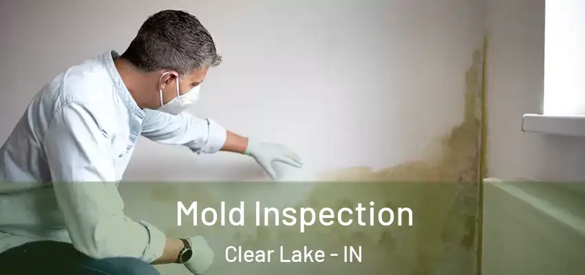 Mold Inspection Clear Lake - IN