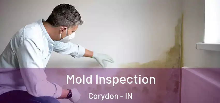  Mold Inspection Corydon - IN