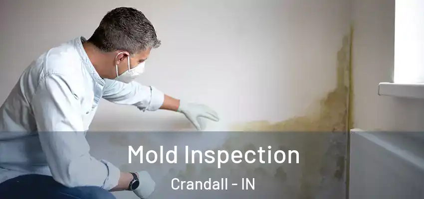 Mold Inspection Crandall - IN