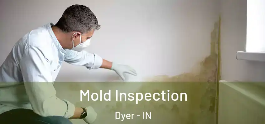  Mold Inspection Dyer - IN