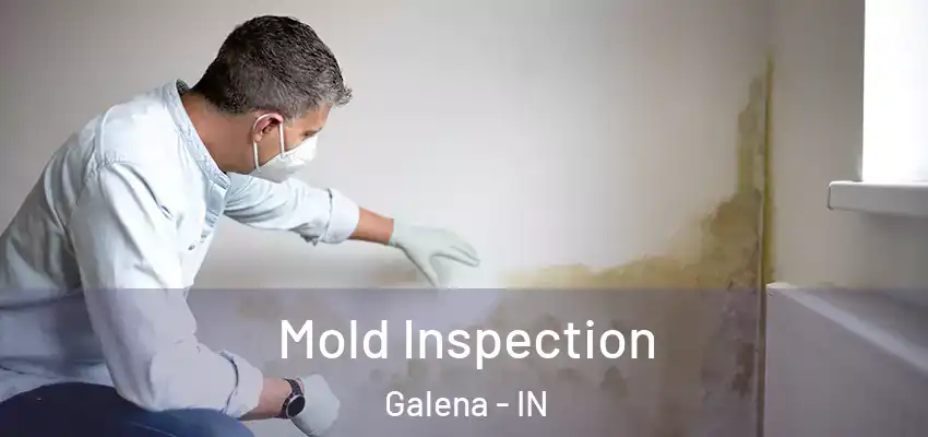  Mold Inspection Galena - IN