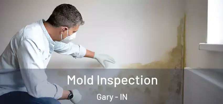  Mold Inspection Gary - IN