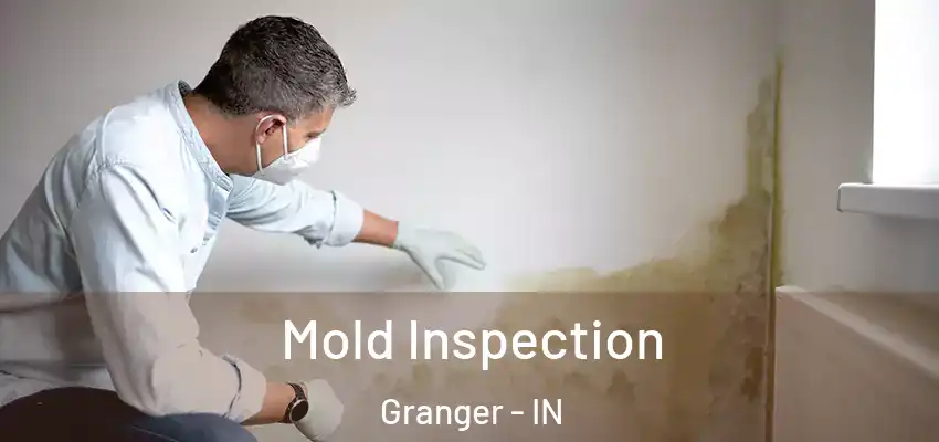  Mold Inspection Granger - IN
