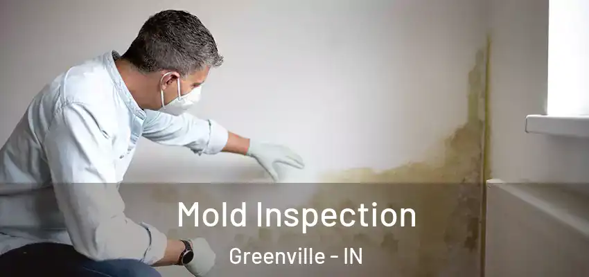  Mold Inspection Greenville - IN