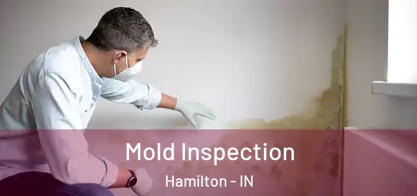  Mold Inspection Hamilton - IN