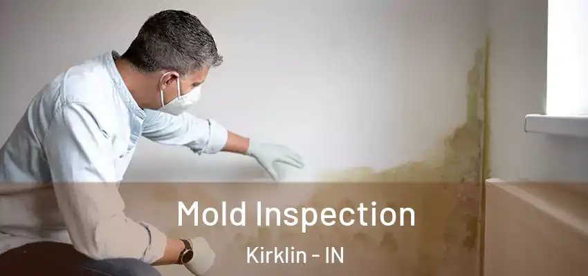  Mold Inspection Kirklin - IN