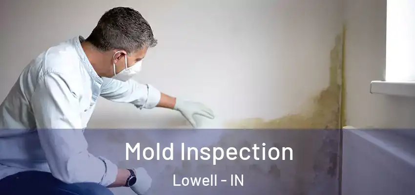  Mold Inspection Lowell - IN