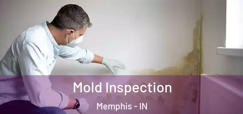  Mold Inspection Memphis - IN