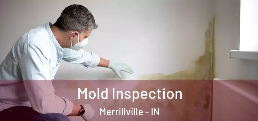  Mold Inspection Merrillville - IN