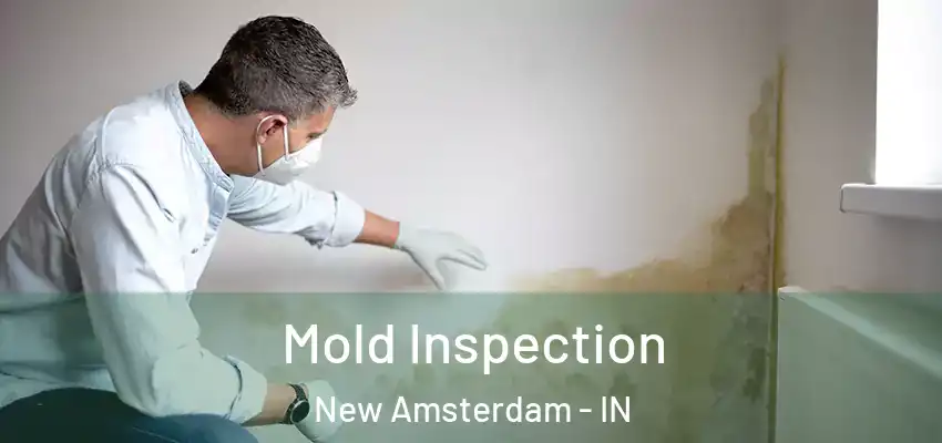  Mold Inspection New Amsterdam - IN
