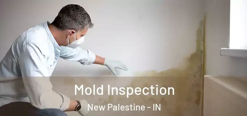  Mold Inspection New Palestine - IN