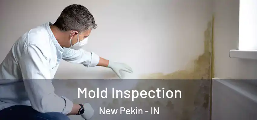  Mold Inspection New Pekin - IN