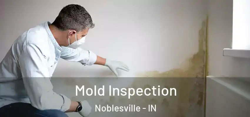  Mold Inspection Noblesville - IN