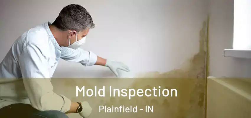  Mold Inspection Plainfield - IN