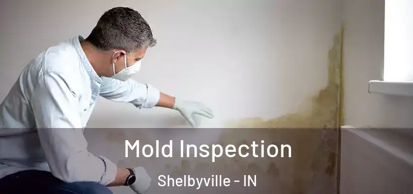  Mold Inspection Shelbyville - IN