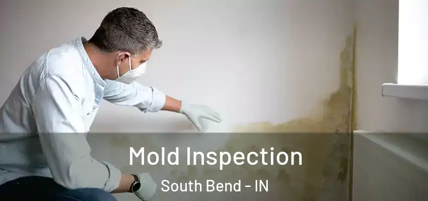  Mold Inspection South Bend - IN
