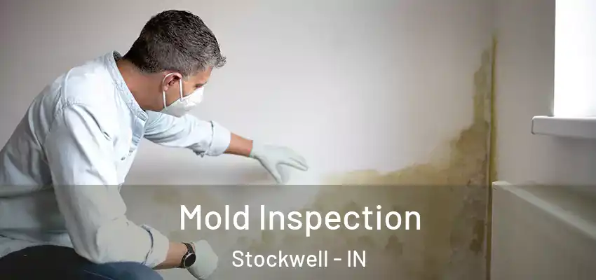  Mold Inspection Stockwell - IN