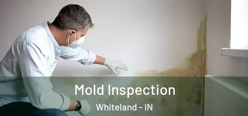  Mold Inspection Whiteland - IN