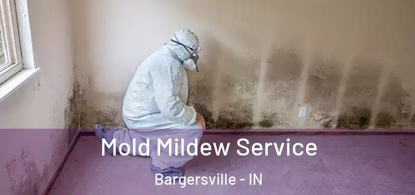  Mold Mildew Service Bargersville - IN