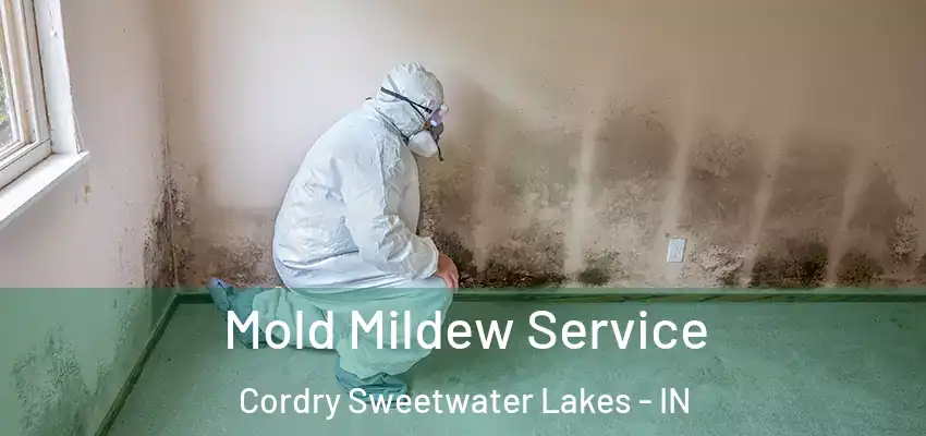 Mold Mildew Service Cordry Sweetwater Lakes - IN