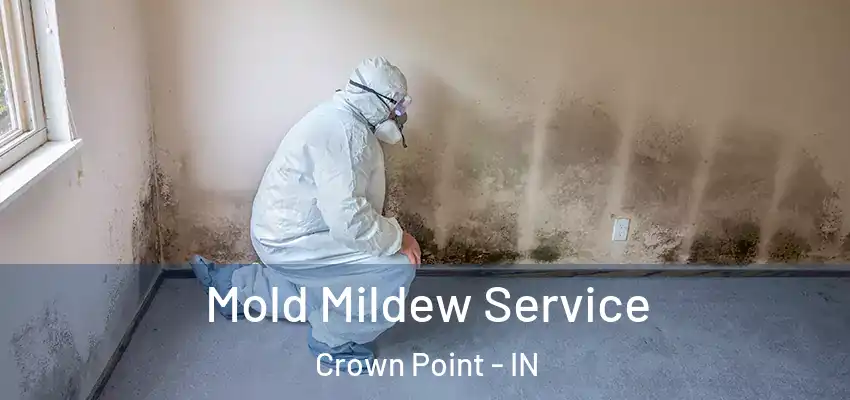  Mold Mildew Service Crown Point - IN