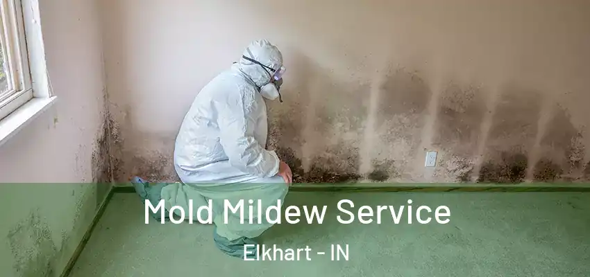  Mold Mildew Service Elkhart - IN