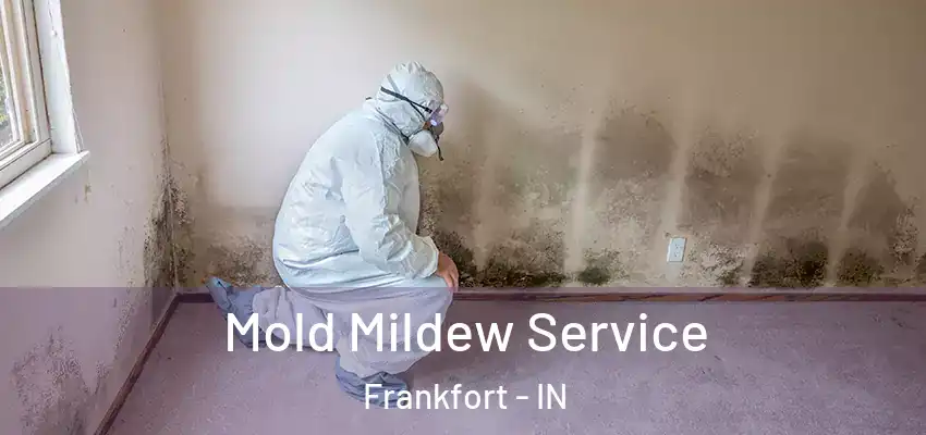 Mold Mildew Service Frankfort - IN