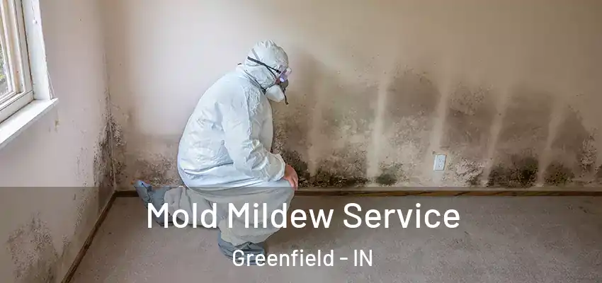  Mold Mildew Service Greenfield - IN
