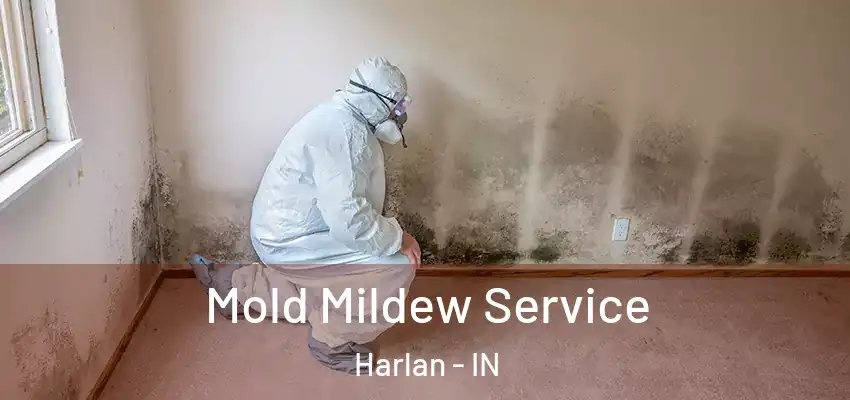  Mold Mildew Service Harlan - IN