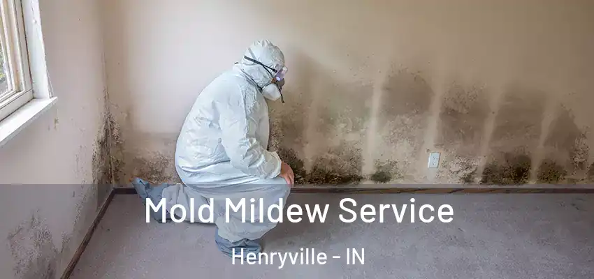  Mold Mildew Service Henryville - IN