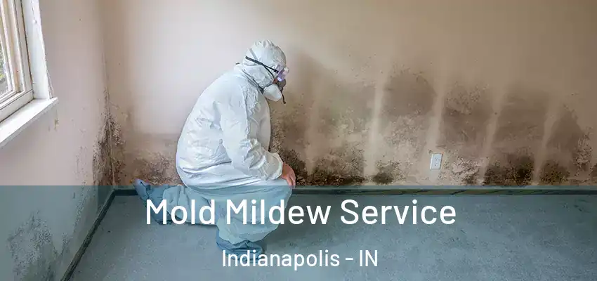  Mold Mildew Service Indianapolis - IN