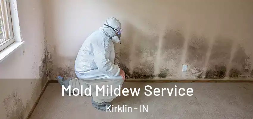  Mold Mildew Service Kirklin - IN