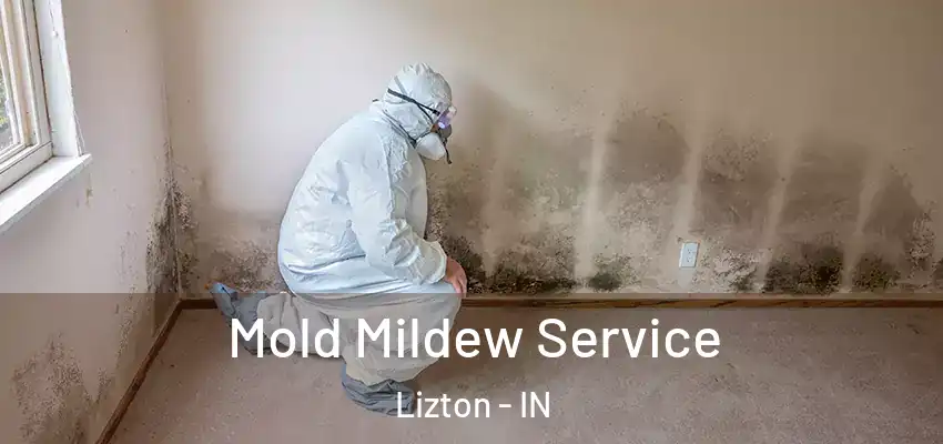  Mold Mildew Service Lizton - IN