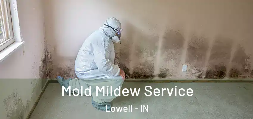  Mold Mildew Service Lowell - IN