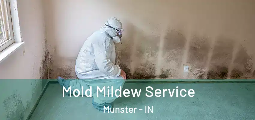  Mold Mildew Service Munster - IN