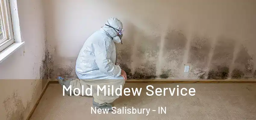  Mold Mildew Service New Salisbury - IN