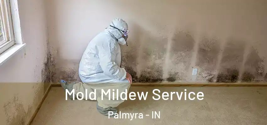  Mold Mildew Service Palmyra - IN